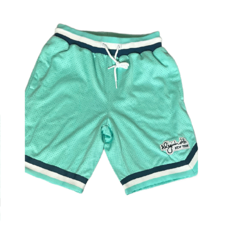 Mesh Basketball Ball Logo Shorts